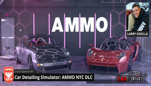 CAR DETAILING SIMULATOR - AMMO NYC DLC